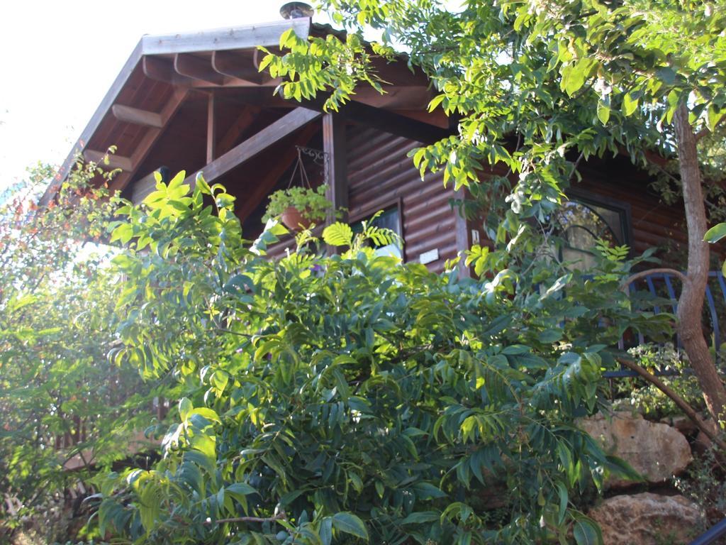 First Light Cabins Amirim Chambre photo